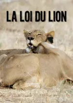 La loi du Lion