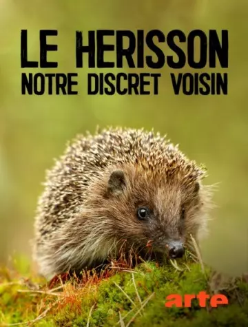 LE HÉRISSON, NOTRE DISCRET VOISIN