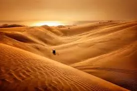 La fabuleuse histoire de l'évolution - Le désert du Namib -