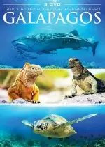 Galápagos - Aux Origines -
