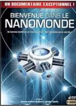 Bienvenue dans le Nanomonde