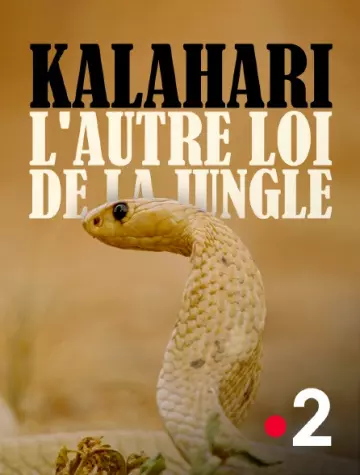 Kalahari, l'autre loi de la jungle