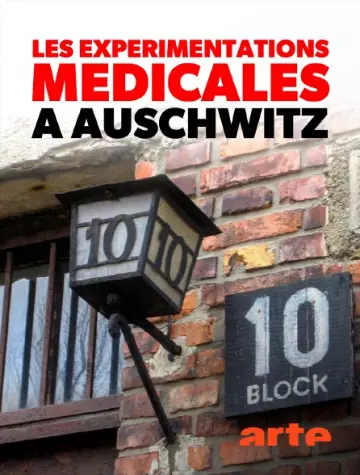 Les expérimentations médicales à Auschwitz - Clauberg et les femmes du bloc