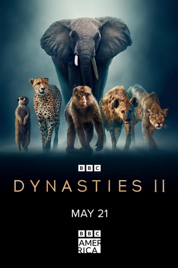 DYNASTIES ANIMALES - MACAQUES