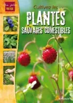 Cultivez les plantes sauvages comestibles