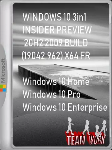 WINDOWS 10 3in1 INSIDER PREVIEW 20H2 2009 BUILD (19042.962) X64