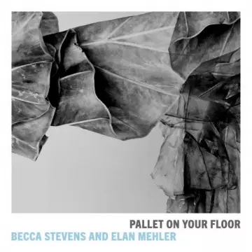 Becca Stevens & Elan Mehler - Pallet on Your Floor