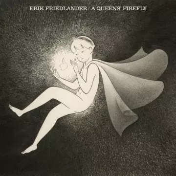 Erik Friedlander - A Queens' firefly