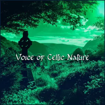 Celtic Music Voyages - Voice of Celtic Nature_ Celtic Meditation and Relaxation