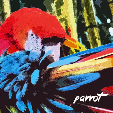 Edith Piaf - Parrot